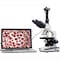 Amscope 2000X LED Lab Trinocular Compound Microscope w 3D Mechanical Stage, 5MP Camera T120B-5M - alternate 1